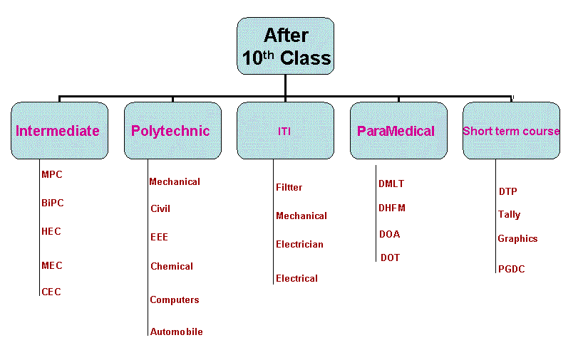 After 10th Courses Chart